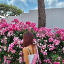 브이알 스튜디오 | 경주 여행코스 추천｜엑스포대공원 미디어아트, 포토존 가득한 전시관