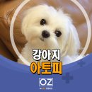 Dr. 오즈 동물병원 이미지