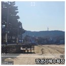 통일사 | 장경리해수욕장, 서울 근교에 이런 스팟이?