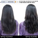 원더파마