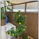 판암동148 | 대전 판암동 맛집 추어탕 화담추어관 깊은 맛과 정성이 느껴지는 한 끼