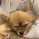 헤이독청주 이미지