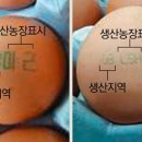 김순도농장 네이버블로그