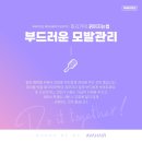 에이바헤어 이미지
