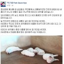 늘새롬 이미지