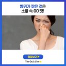 방귀 자주 나오는 사람들이 가지고 있는 공통점 이미지