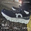 오호리 | 후쿠오카 오호리공원 아침 러닝 10km 후기