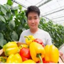 태곡농장 이미지