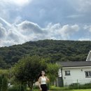 연희재 애견펜션 이미지