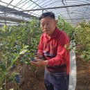 박광순농장 이미지