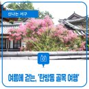 남선경로당 | 구석구석 여름을 느끼며 걷는, '탄방동 골목 여행'