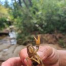 냉천골공원 이미지