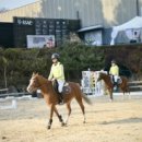 더케어팜 이미지