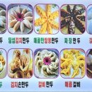 꽃길만두 이미지