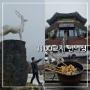 GS25 하단낙동점 | 11월 제주가볼만한곳 1100고지 휴게소 GS편의점 메뉴 및 어묵꼬치 시식 후기