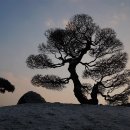 고요