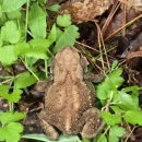 람사르습지길 이미지