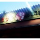 진성약국 이미지