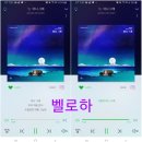 벨로하