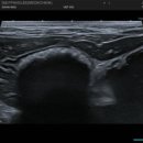 목동찬동물의료센터 이미지