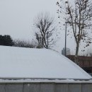 양재시민의 숲 4번출구 이미지