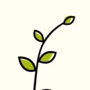 마음의 양식 이미지