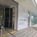 얼굴 흑자 제거 후기｜동네의사 이상욱 유튜브 보고 예젤의원 방문, 듀오덤 관리팁까지