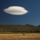 말머리 성운 / 최승호 이미지