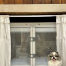 펜션 아리 이미지