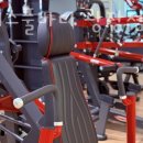 휘트니스 풀바디 이미지