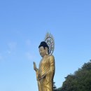 대불공원 좌측 이미지