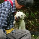 선희농장 이미지