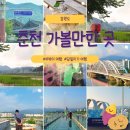 상천목장 | 강원도 춘천 가볼만한 곳 | 뚜벅이 가을 당일치기 추천 코스 7곳