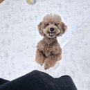 개스트룸 이미지