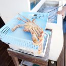 봉포대게찜 게 섯거라 이미지