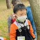 영등근린공원 이미지