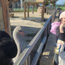 영재공부놀이터