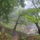 황토복집 이미지