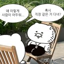 등억알프스로L | 울산 울주군 계곡 있는 음식점 :: 명성종가집 방문 후기, 카페(농도)와 근처 명소(자수정동굴나라) 가볼...
