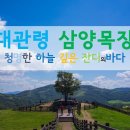 발현목장 이미지