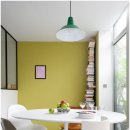 센스쟁이 이미지