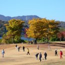 국가공인 파크골프지도사- “배출만 해놓고 배치는 안하나” 이미지