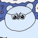 쿠키동물병원 이미지