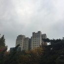 센트럴숲한의원 이미지