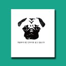 김예
