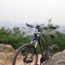 생태다리 이미지