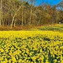 아라메길(1) 이미지