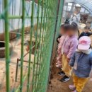 고양시립슬기로운어린이집 | 고양시유아숲체험 추천! 고양시립슬기로운어린이집 친구들의 우리들자연학교 3월 첫 수업