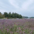 광사2천 이미지