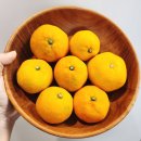 광택농장 이미지